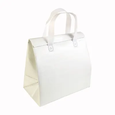 Geantă termoizolantă din material nețesut laminat, 100 g/m², cu închidere cu velcro, 27 x 28 x 6 cm – cu imprimare personalizată